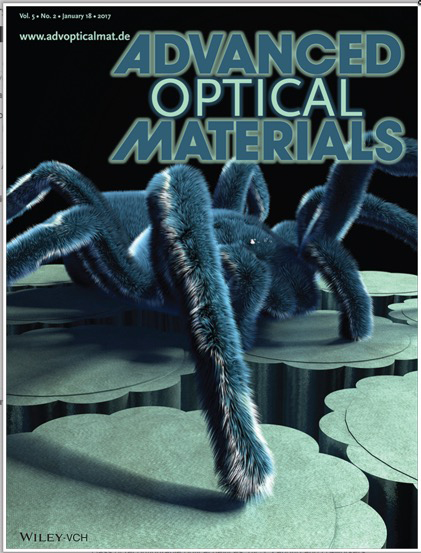 Cover of Advanced Optical Materials